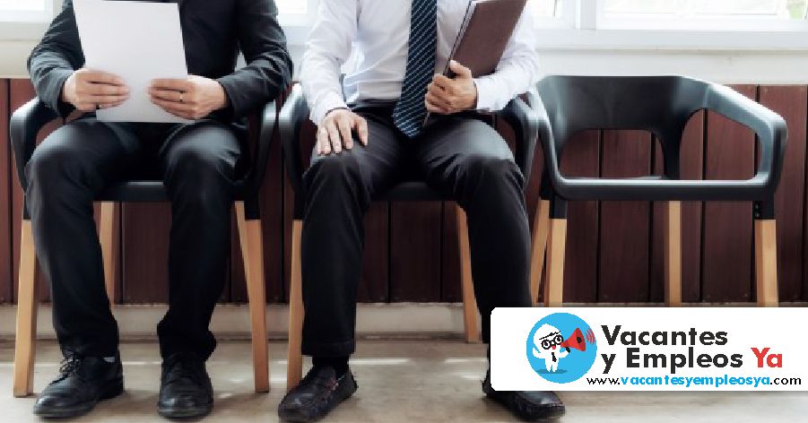 la entrevista de trabajo aprovecha la oportunidad al maximo